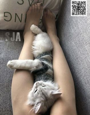 美女视频在线国产_HD720P欧美电影在线