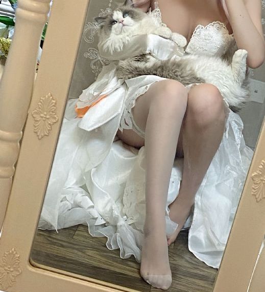 久久无码视频网站_DVD在线观看视频